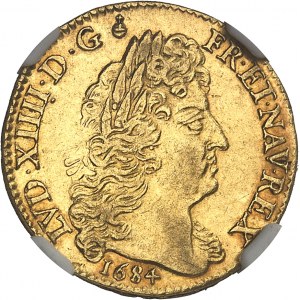 Ludvík XIV (1643-1715). Louis d'or à la perruque et aux huit L 1684, A, Paris.