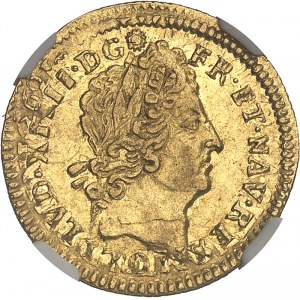 Louis XIV (1643-1715). Half-louis with eight Ls and insignia, reformation 1701, S, Reims.