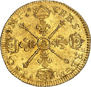 Ľudovít XIV (1643-1715). Louis d'or aux insignes, reformácia 1705, A, Paríž.