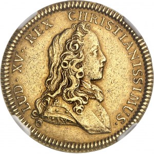 Luigi XV (1715-1774). Gettone d'oro, Bâtiments du Roi, refrappe moderno 1723 (dopo il 1880), Parigi.