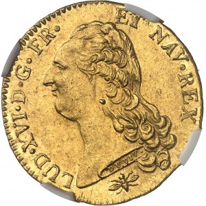 Luigi XVI (1774-1792). Doppio luigi d'oro alla tête nue 1786, D, Lione.