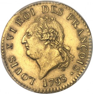 Ústava (1791-1792). Skúška 24 livrov zlatého louisa, pozlátený bronz, zvláštna razba (SP) 1793 - An 5/4, A, Paríž.
