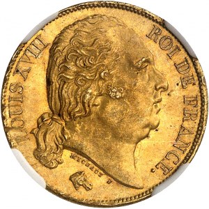 Louis XVIII (1814-1824). 20 francs bare head 1817, A, Paris.