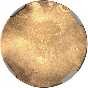 Terza Repubblica (1870-1940). Essai uniface de nickel ou projet de T. Michelin, brass coinage 1890, Paris.