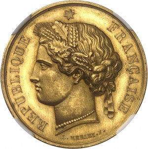Trzecia Republika (1870-1940). Złoty medal, Szkoła Prawa w Bordeaux, 1. nagroda, L. Merley 1871, Paryż.