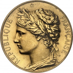 Terza Repubblica (1870-1940). Medaglia d'oro, Esposizione Universale Internazionale di J. C. Chaplain, assegnata a WATERLOW &amp; FILS 1878, Parigi.