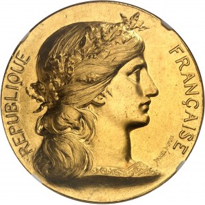 Tretia republika (1870-1940). Zlatá medaila pánovi J. M. Gaveironovi, starostovi mesta Contamine-sur-Arve (74), ktorú udelili Jean-Baptiste Daniel-Dupuis a H. Dubois 1895, Paríž.