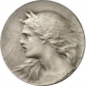 IIIe République (1870-1940). Médaille, la Musique guerrière par Paul Niclausse, SAMF n° 13 1900, Paris.