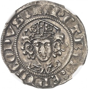 Cambrai (archbishopric of), Pierre III de Mirepoix (1309-1324). Petit gros ND, Cambrai.