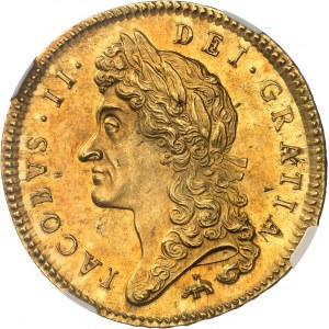 Jacques II (1685-1688). 5 guinées, 1er buste, à l’éléphant et au château 1687, Londres.