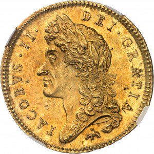 James II (1685-1688). 5 guineas, 1st bust, with elephant and castle 1687, London.