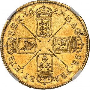 Jakub II. (1685-1688). 5 guineí, 1. busta, se slonem a hradem 1687, Londýn.