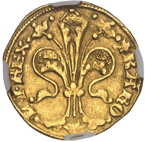 Karel I. Robert (1308-1342). Florin ND (1325-1342).