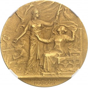 Terza Repubblica (1870-1940). Medaglia d'oro, Esposizione di Hanoi, di Patey, brunita e opaca (PROOF MATTE) 1903, Parigi.