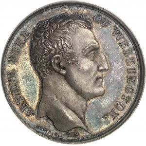 Giovanni VI (1799-1826). Medaglia, Battaglia del Douro (Seconda battaglia di Porto), il Duca di Wellington, da Brenet e Dubois a James Mudie 1809, Londra.