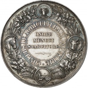 Charles Ier de Roumanie (1866-1914). Médaille, Concours agricole et industriel ND (c.1881), Bucarest.