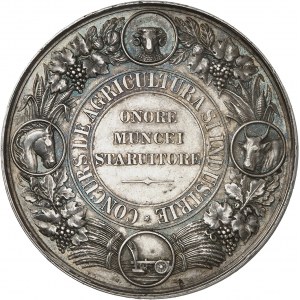 Charles I of Romania (1866-1914). Medal, ND Agricultural and Industrial Competition (c.1881), Bucharest.