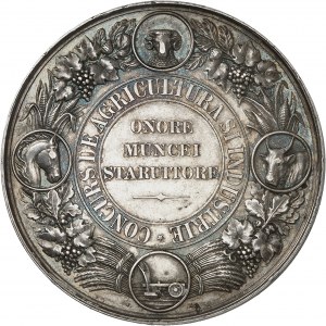 Karel I. Rumunský (1866-1914). Medaile, Zemědělská a průmyslová soutěž ND (asi 1881), Bukurešť.