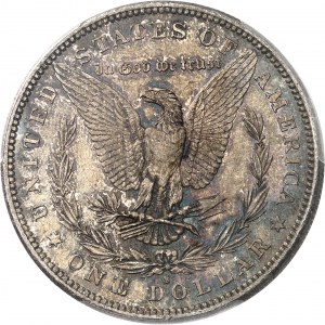 Federalna Republika Stanów Zjednoczonych Ameryki (1776-obecnie). Dolar Morgan 1879, S, San Francisco.