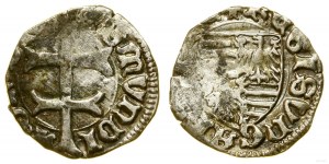 Węgry, denar, (1390-1427)