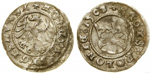 Polonia, mezzo penny, 1508, Cracovia