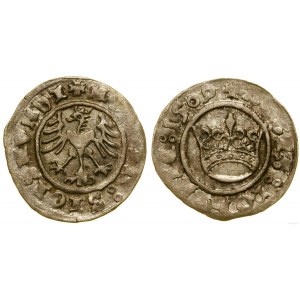 Polen, halber Pfennig, 1509, Krakau