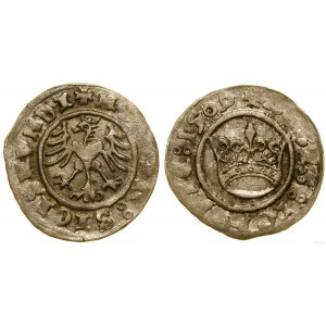 Pologne, demi-penny, 1509, Cracovie