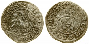 Polonia, scellino, 1539, Danzica