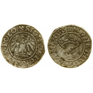 Polonia, scellino, 1539, Danzica