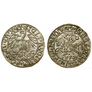Pologne, demi-penny, 1550, Vilnius
