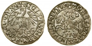 Polska, półgrosz, 1550, Wilno