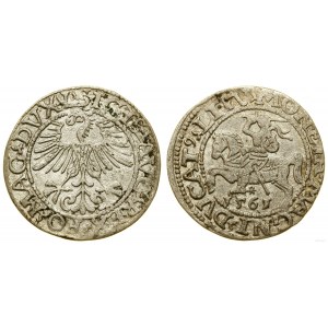 Pologne, demi-penny, 1561, Vilnius