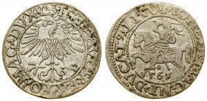 Polska, półgrosz, 1561, Wilno