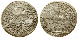 Polsko, půlpenny, 1562, Vilnius