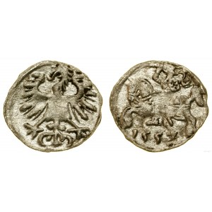 Poland, denarius, 1557, Vilnius