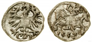 Poland, denarius, 1557, Vilnius