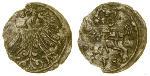 Polska, denar, 1558, Wilno