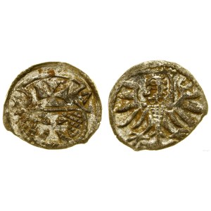 Poland, denarius, 1557, Elbląg