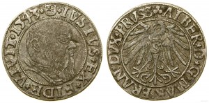 Prusse ducale (1525-1657), sou, 1542, Königsberg