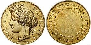 France, award medal, 1877