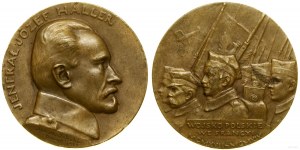Polska, Józef Haller, 1919