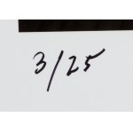 Ryszard Horowitz (nar. 1939, Krakov), 57 Street, 2013