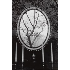 Eva Rubinstein (b. 1933), The Tree in the Mirror, New York. , 1967