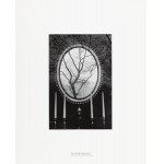 Eva Rubinstein (nar. 1933), Strom v zrkadle, New York , 1967