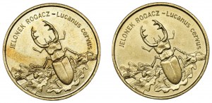2 Oro 1997 - Cervo Hornbill - Set di 2 pezzi