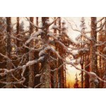 Julius Sergius von Klever (1850-1924), Julius Sergius von Klever (1850-1924) Wald im Winter bei Sonnenuntergang