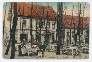 Legnica - Restaurant Schubertshof (466)