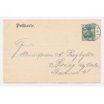 Pszczyna / Pless - Park 1907. (517)