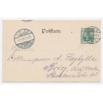 Pszczyna / Pless - Park 1907. (518)