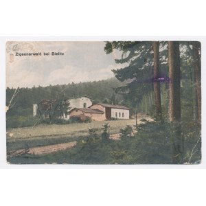 Bielsko - Zigeunerwald (527)